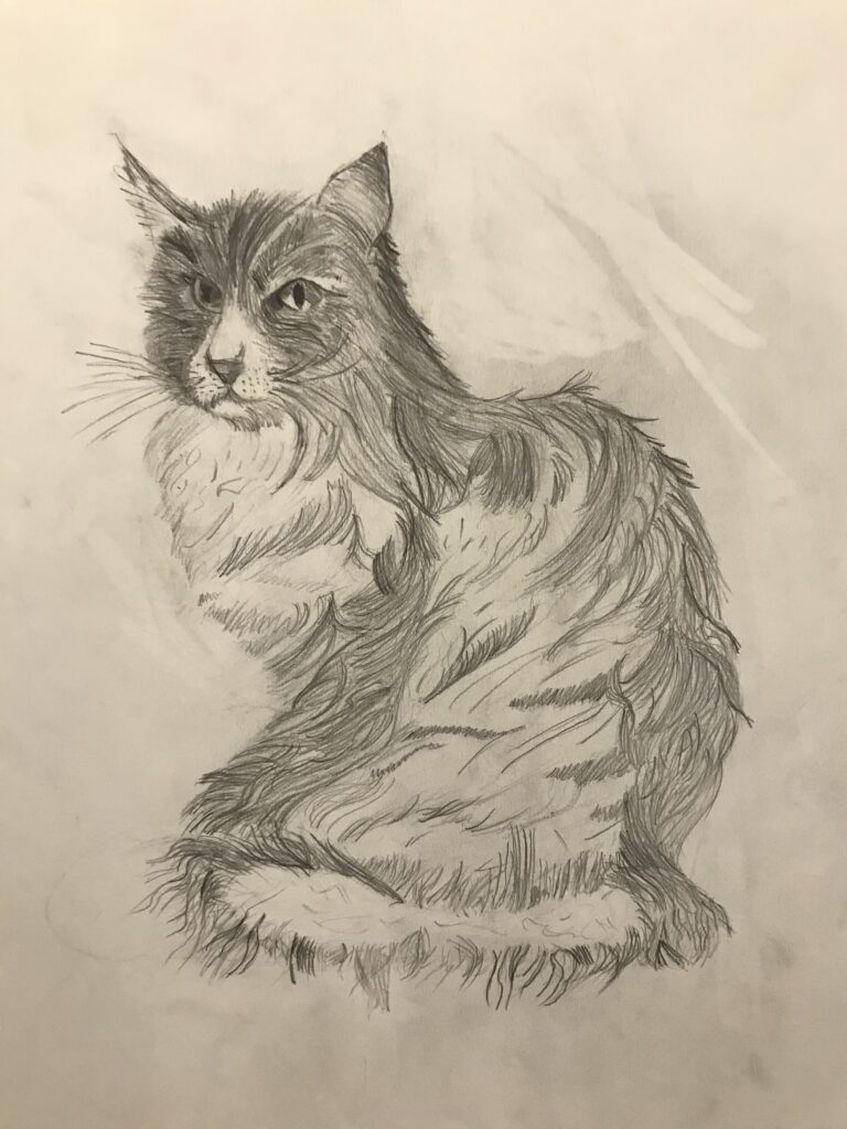 Un chat dessiné au crayon par un élève de L'Art Récré