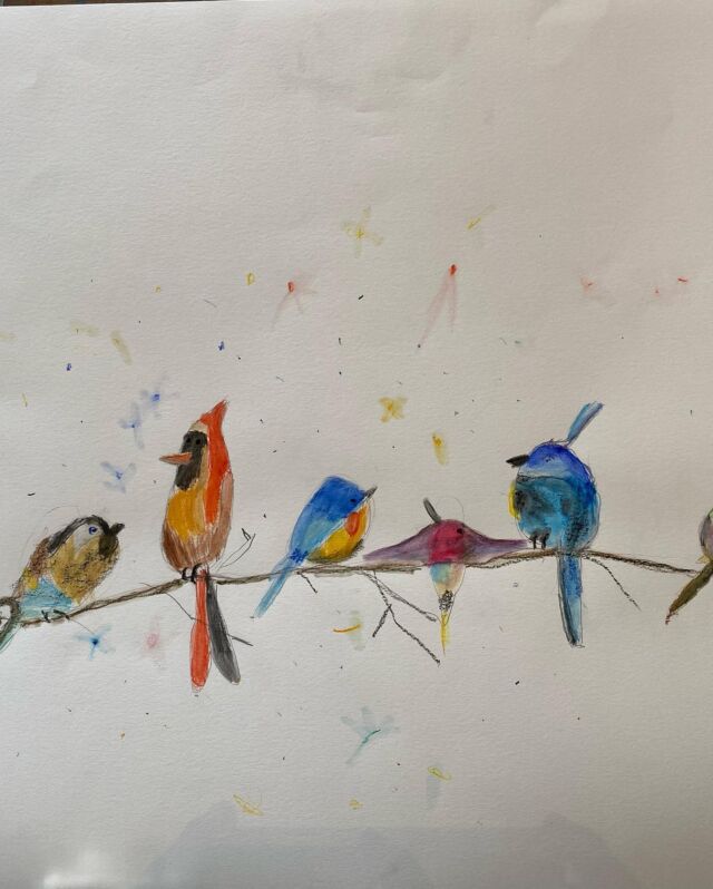 Oiseaux #carandache#crayonsdecouleurs#joliplumage#canari#perruche#colibri