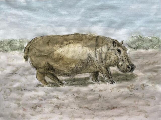 Hippopotame #peinture#gouache#neocolor#papiercanson#50x65#coursdedessins#lartrecre#eauxvives