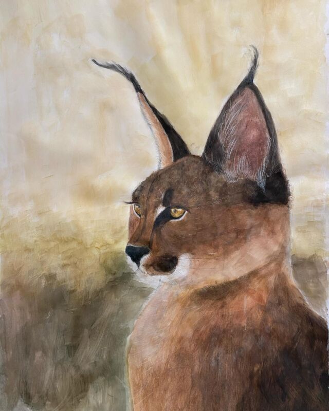 CARACAL#felin#painting#gouache#carandache#lartrecre#coursdedessinetpeinture#geneva🇨🇭